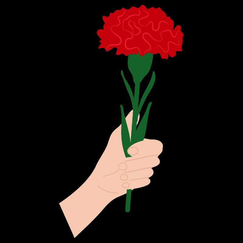 for you- red carnation flower1
