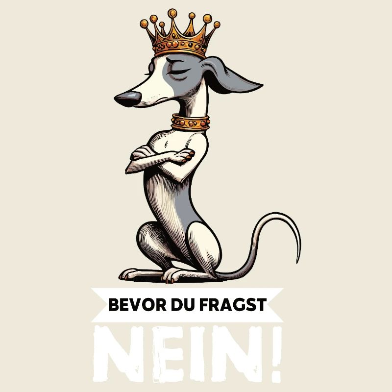 Before You Ask Whippet Greyhound Whippets