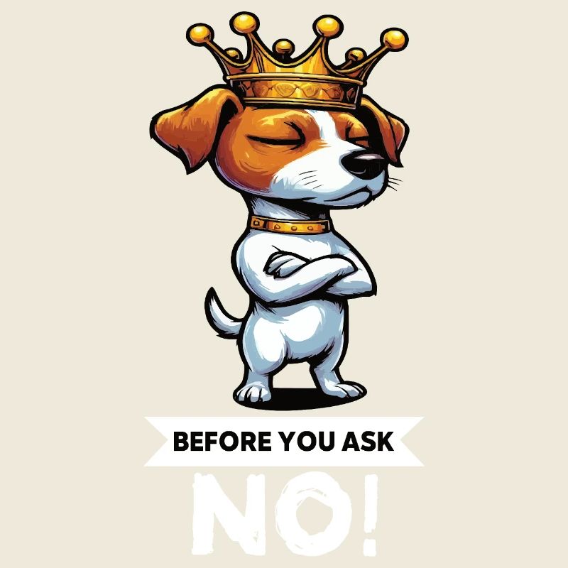 Before You Ask Jack Russel terrier Jack russel dog