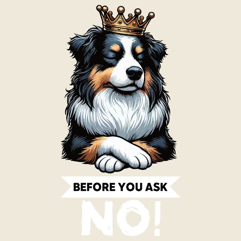 Avant de demander aux Australian Shepherds Aussie Aussies