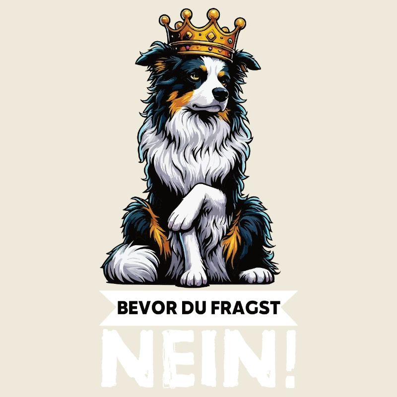 Bevor Du Fragst Australian Shepherd Aussie Aussie