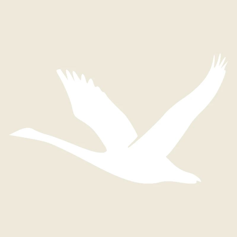 Cygne volant avec des ailes