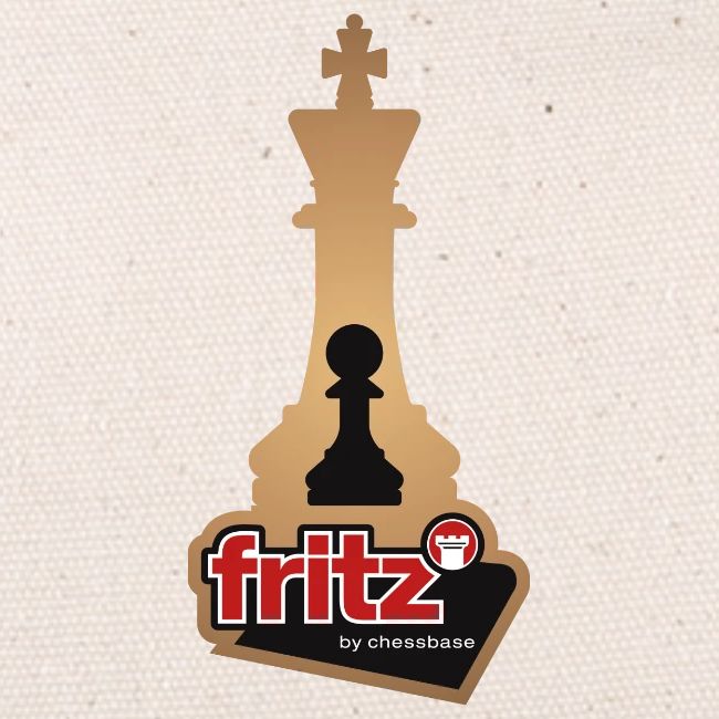 Fritz 19 Rey y Peón de ajedrez