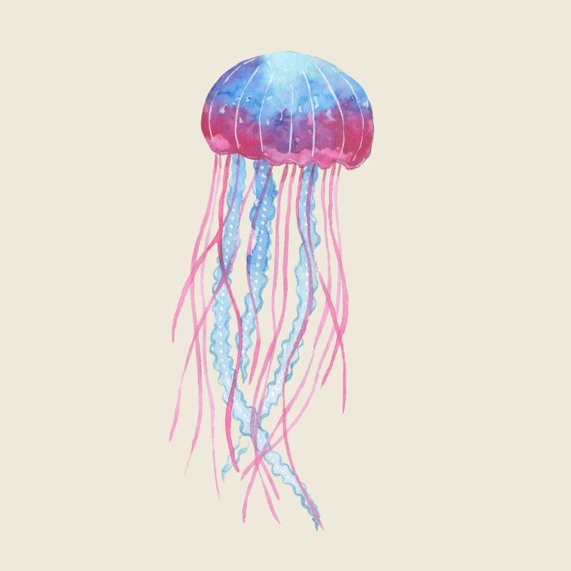 Jellyfish