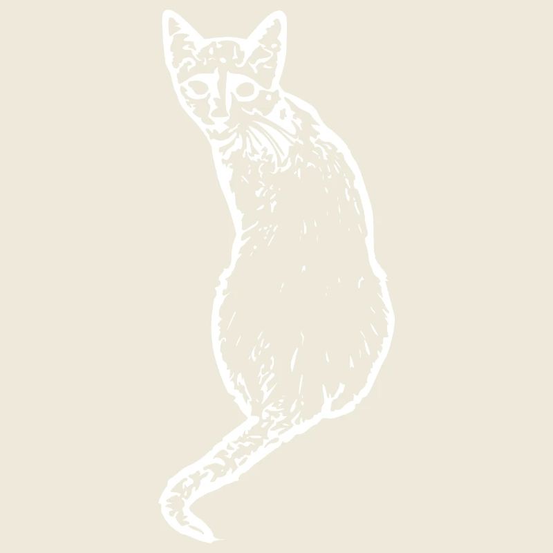 Chat Blanc Blanc Chats Chaton Mignon