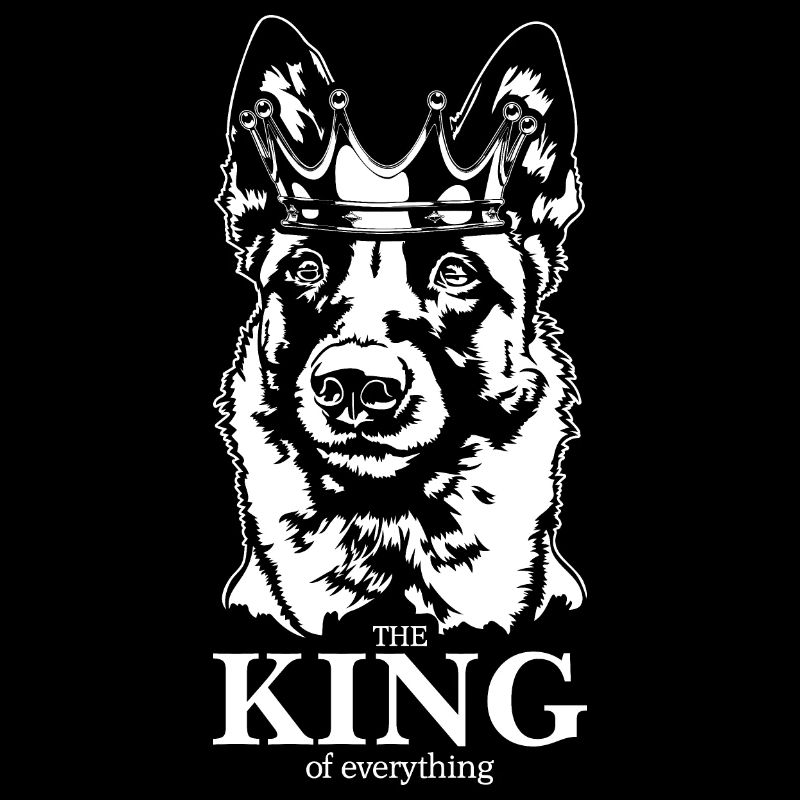 Malinois Roi de tout Dire Chiens Wilsigns