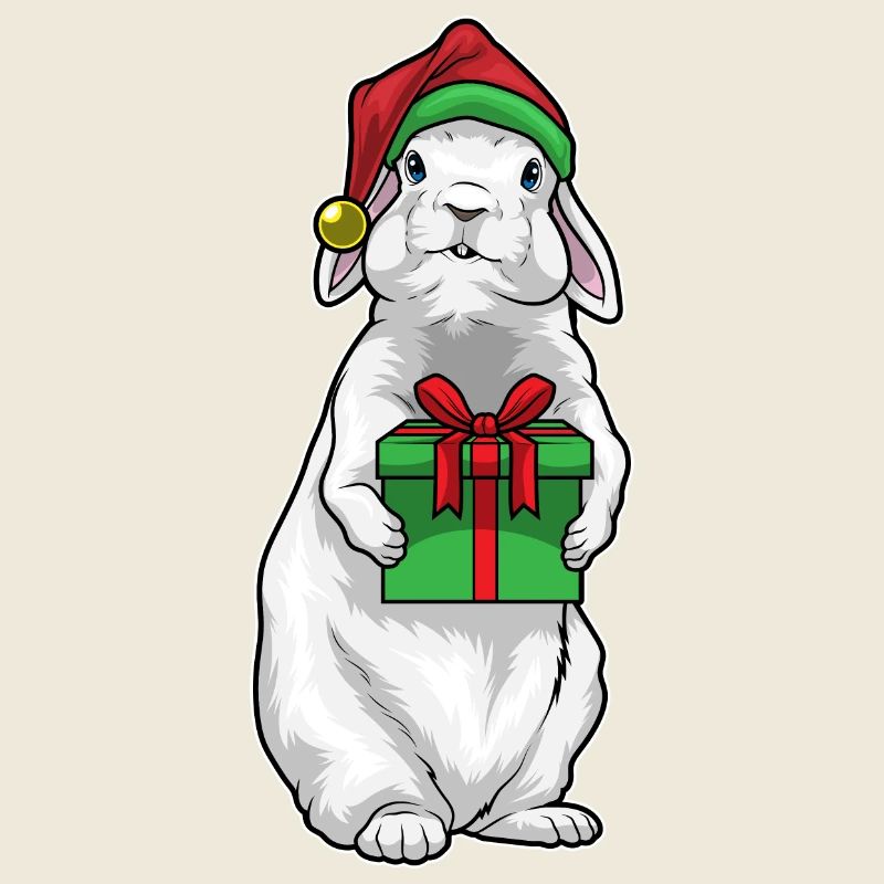 Bunny Christmas Package