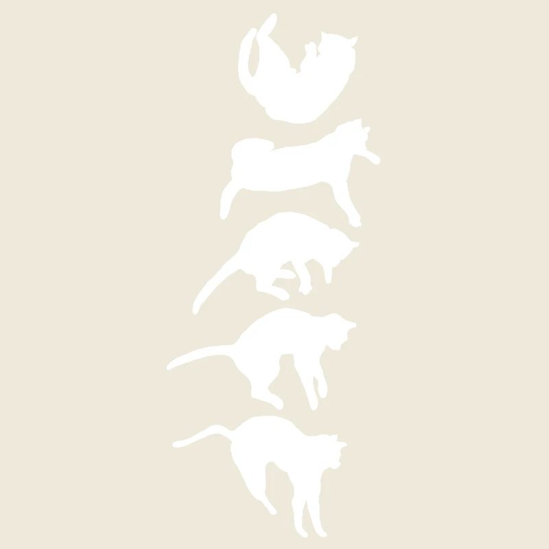 Aufrichtreflex der fallenden Katze