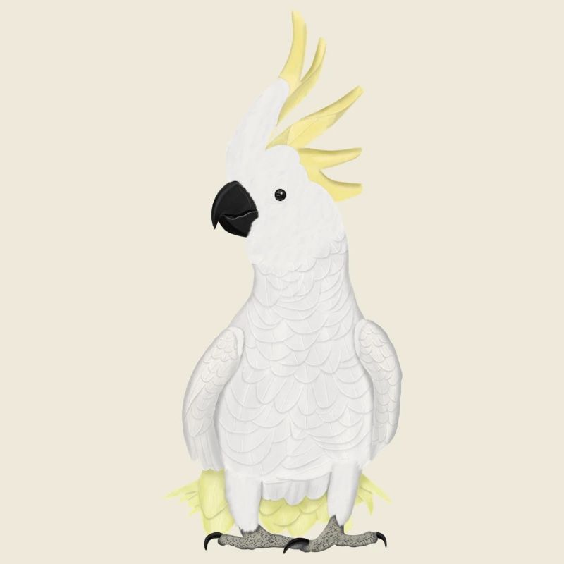 Cacatoès, ornithologue, biologiste, ornithologue