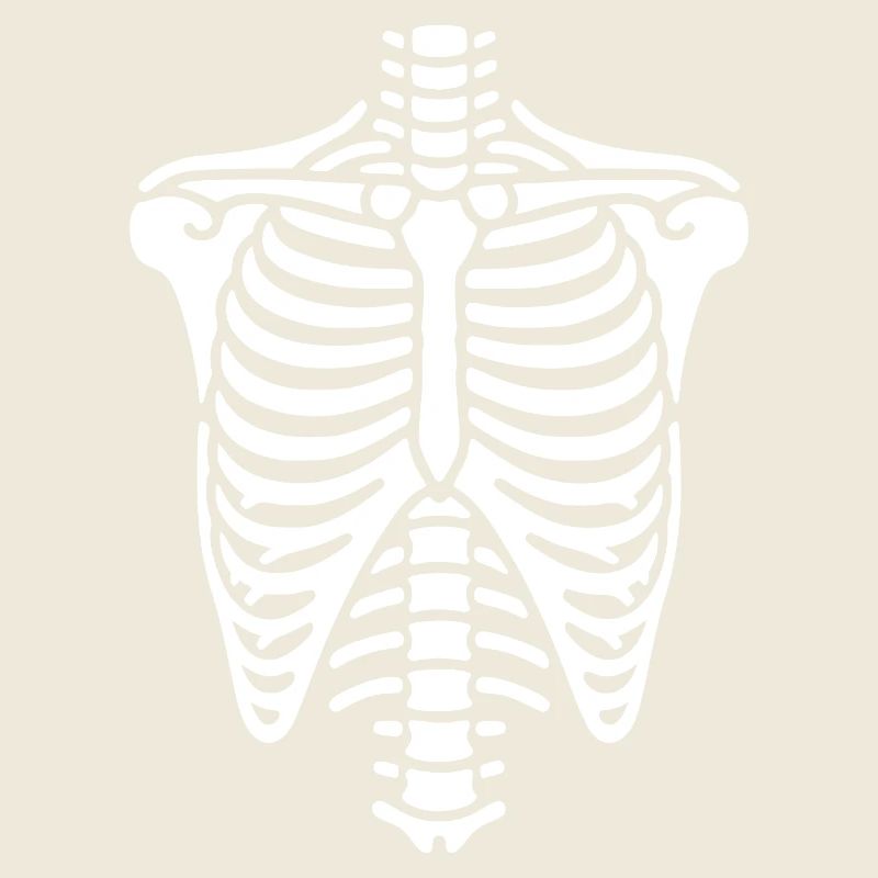 Rib cage, skeleton, thorax and ribs, bones