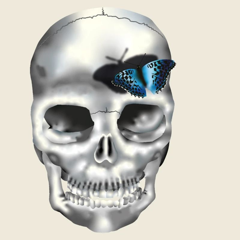 crane papillon bleu