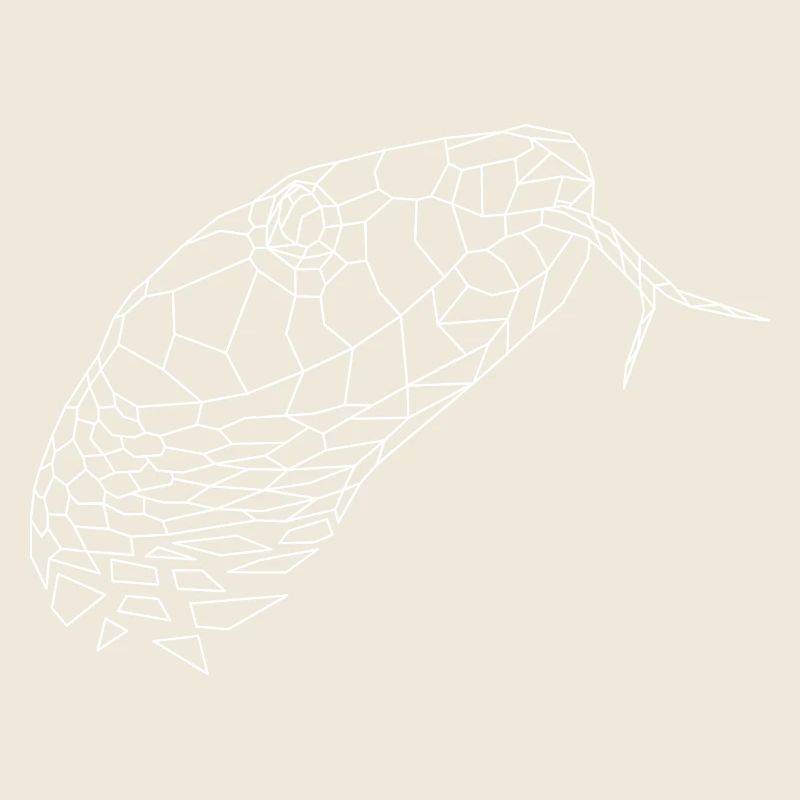 Snake geometric