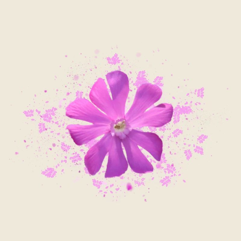 pink flower pink flower
