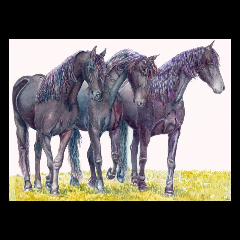 Autocollant de cheval frison