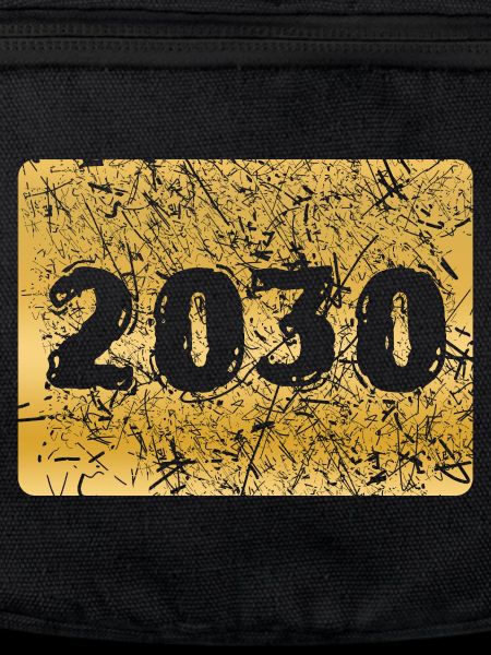Year 2030