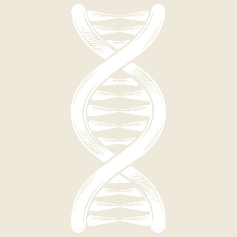 DNA-Strang Doppelhelix mit Wasserstoffbrücken
