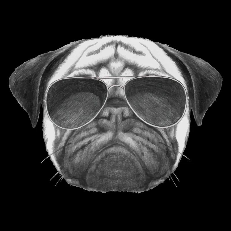 mops pug