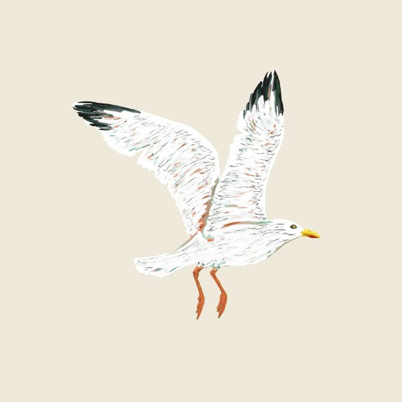 gull