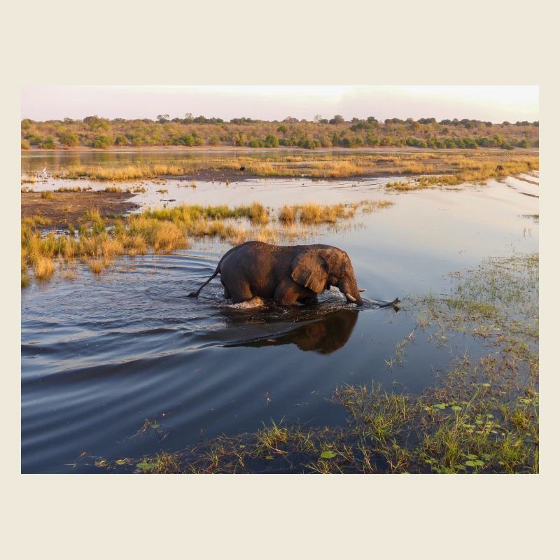 Elefanten am Wasser in Namibia Afrika