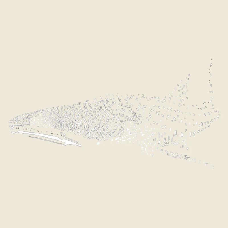 Requin-baleine