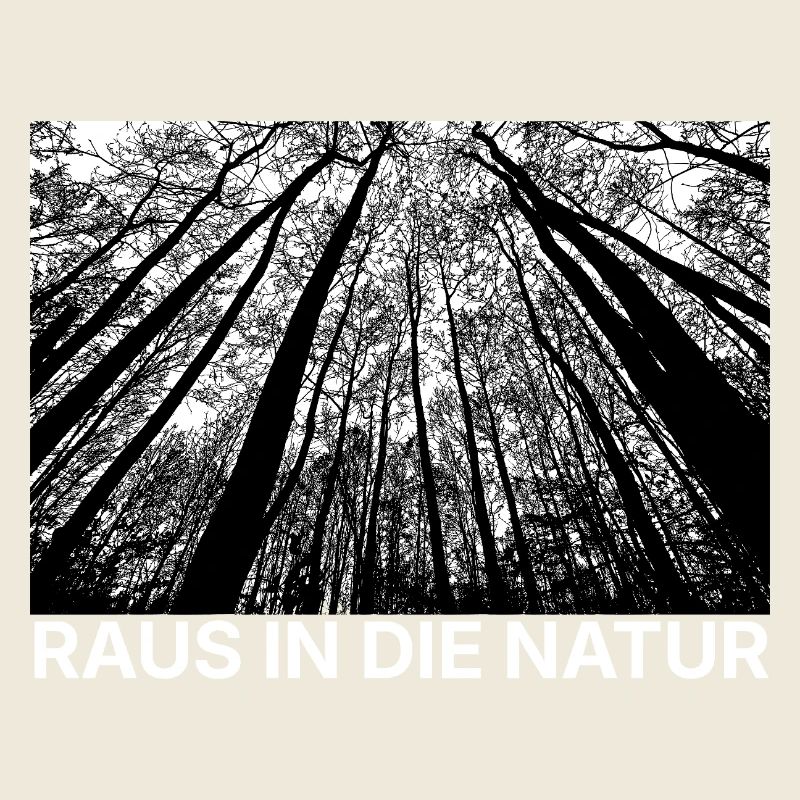 Forest perspective black and white