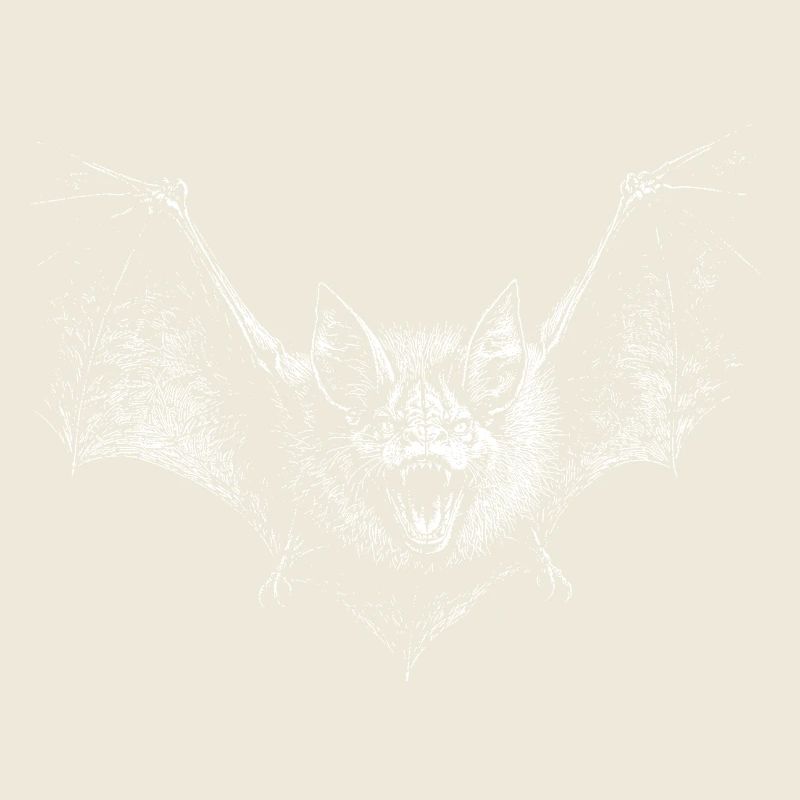 Bat