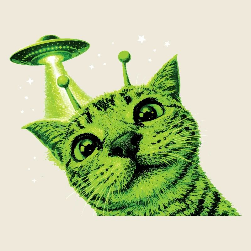 Alien Cat UFO