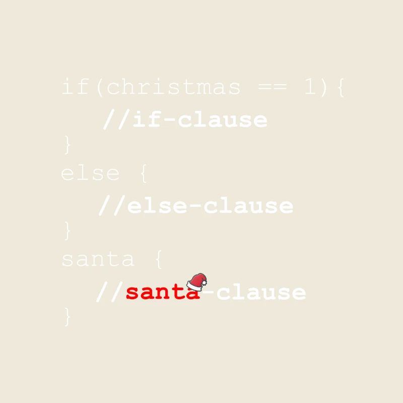 Santa Clause - Christmas programmer gift