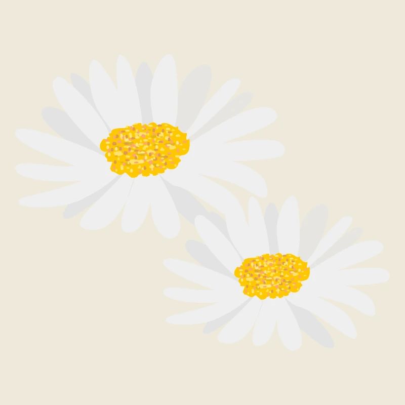 Marguerites de fleurs