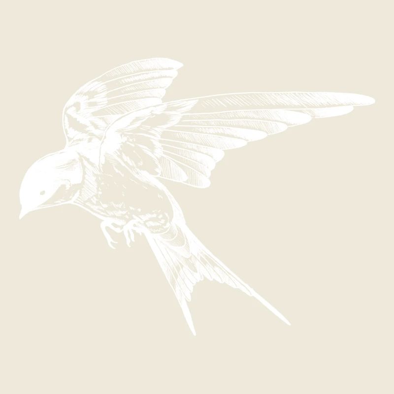 Fliege mit Stil: Die Schwalbe Invert