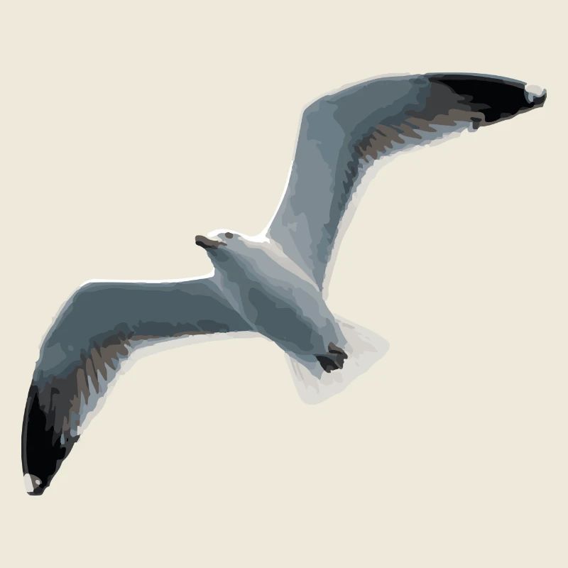 Möwe