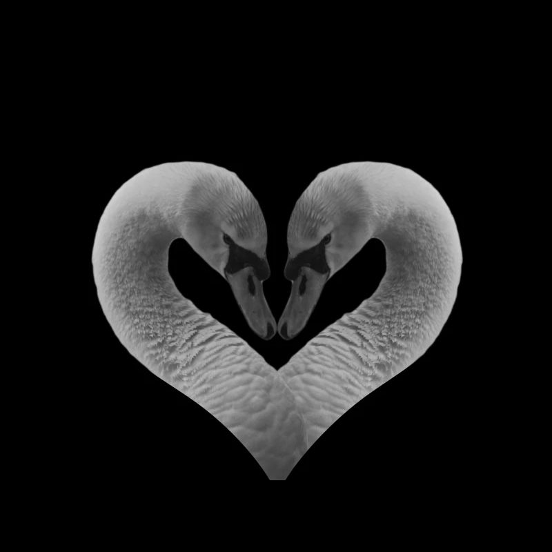 A heart for animals