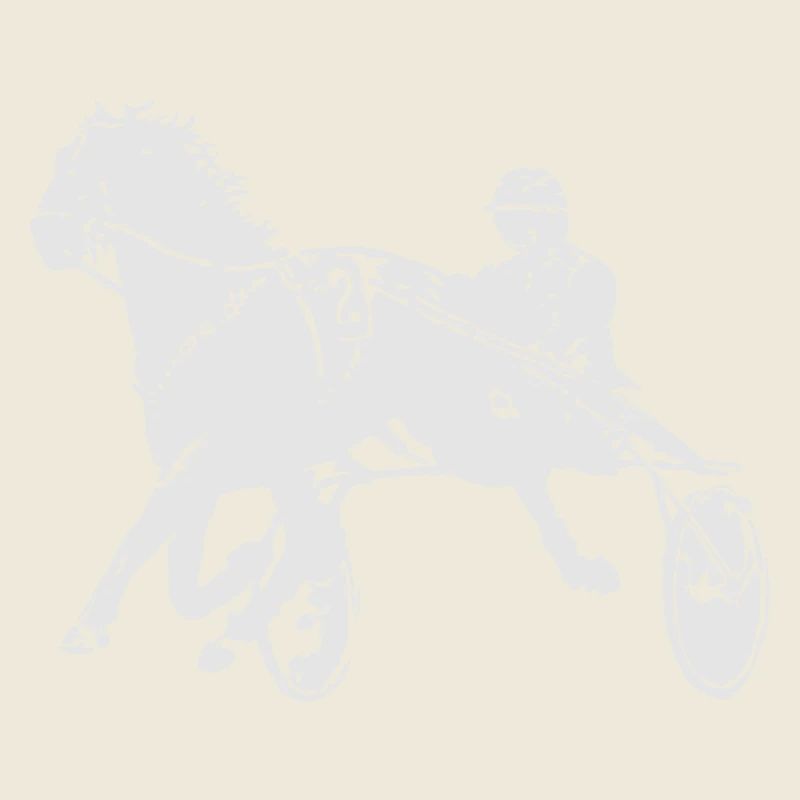 Courses de chevaux de trot