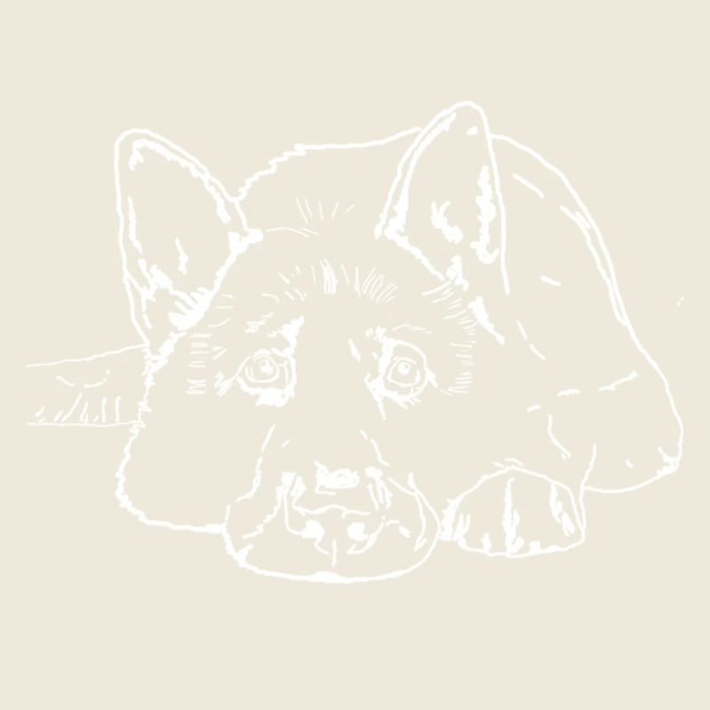 Chien de berger