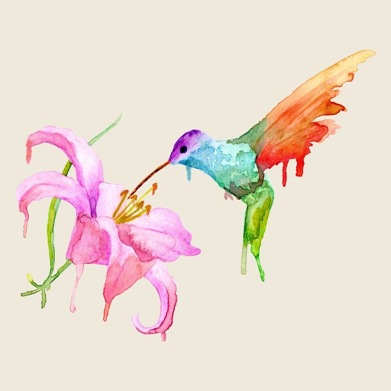 humming-bird