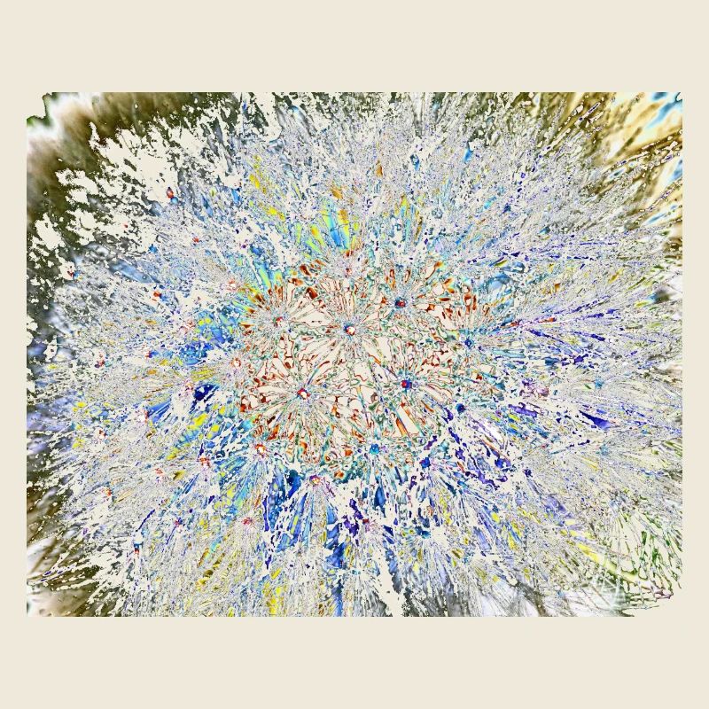Dandelion, A731878