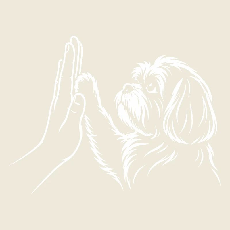 Dog Handshake High Five Paw Human Connection
