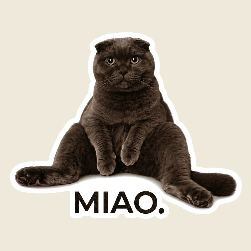 Der ultimative Scottish Fold Chill-Vibe – „Miao.“