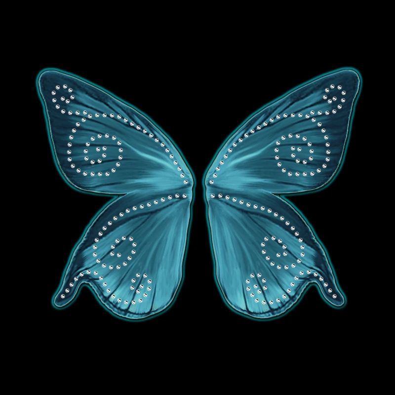 Ailes de papillon, fée, magie, miracle,