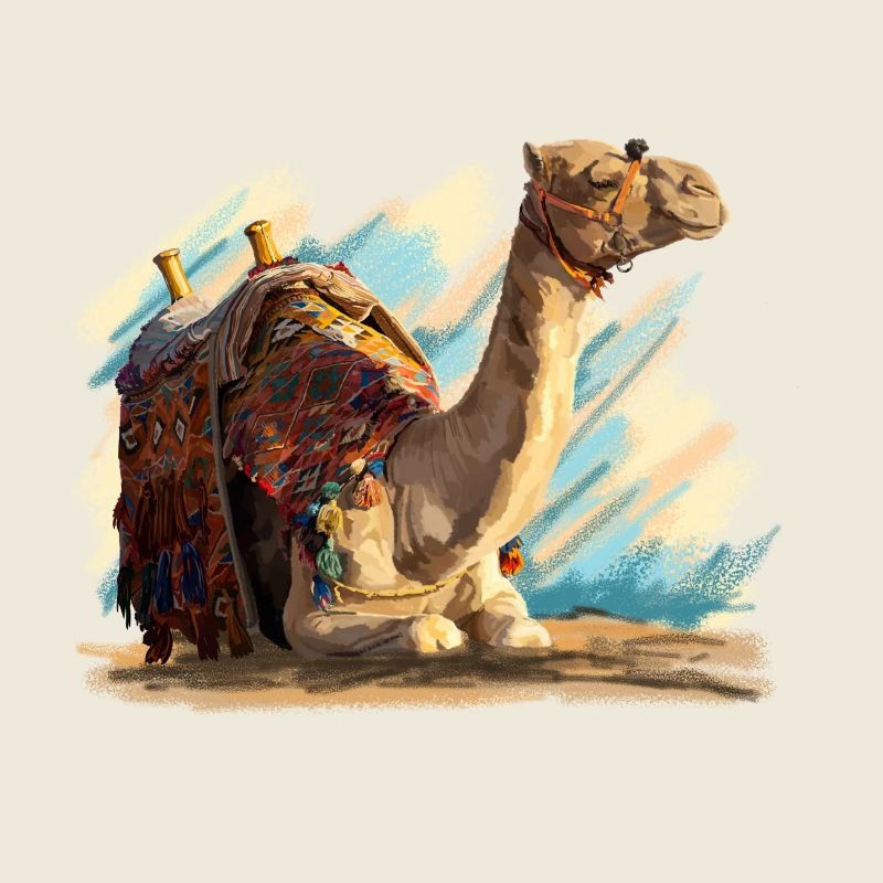 kamel