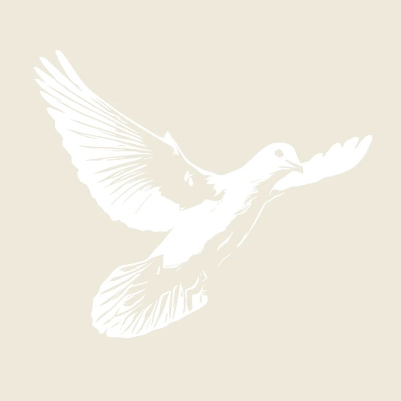 Belle colombe blanche de paix
