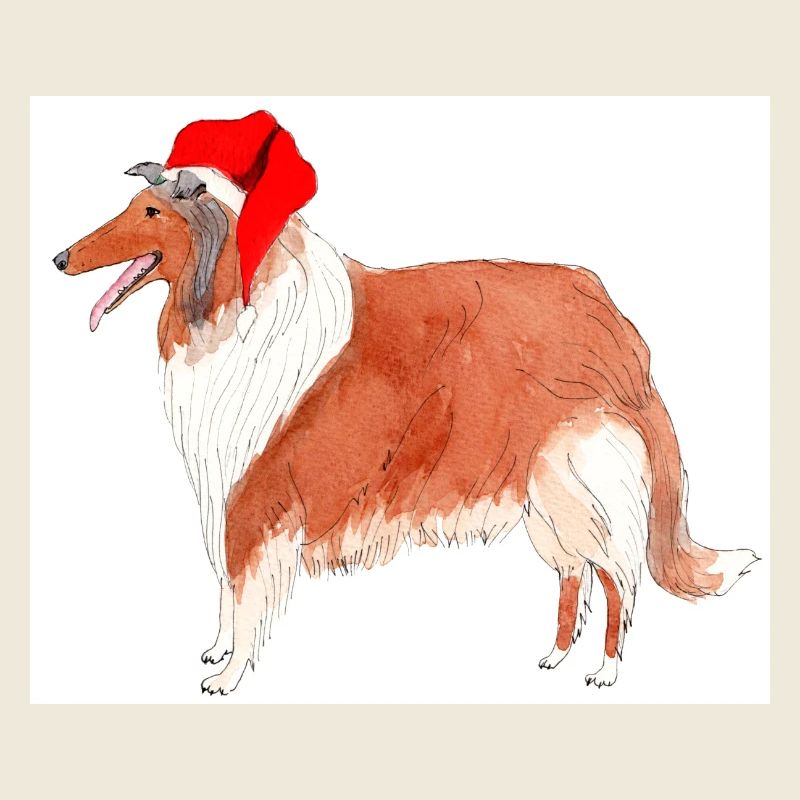 Collie Weihnachtsaufkleber