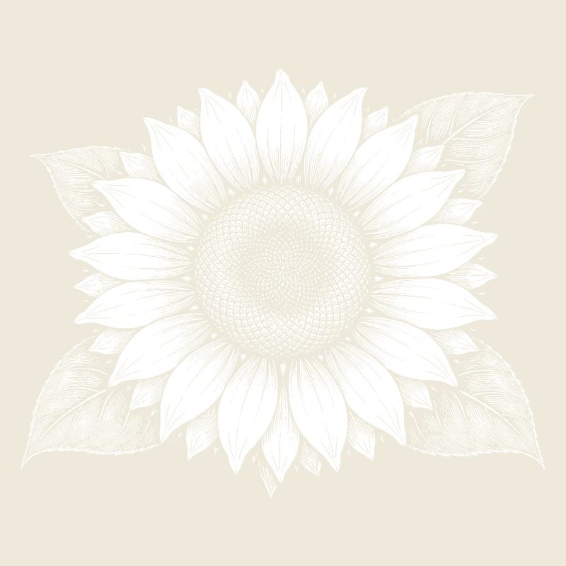 Magie des rayons de tournesol