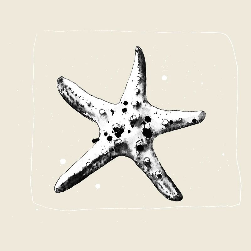 Étoile de mer dessinée à la main - Escapade en bord de mer
