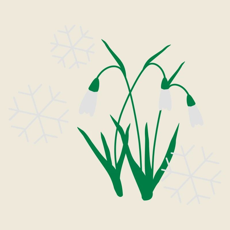 snow