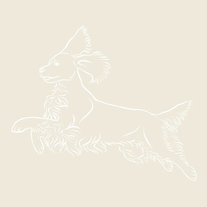 Springer Spaniel