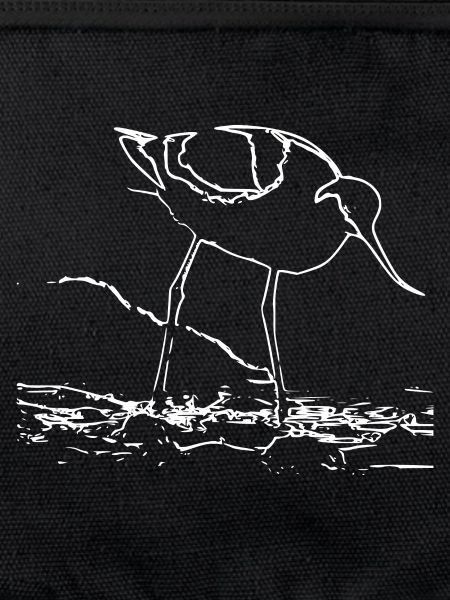 Avocets