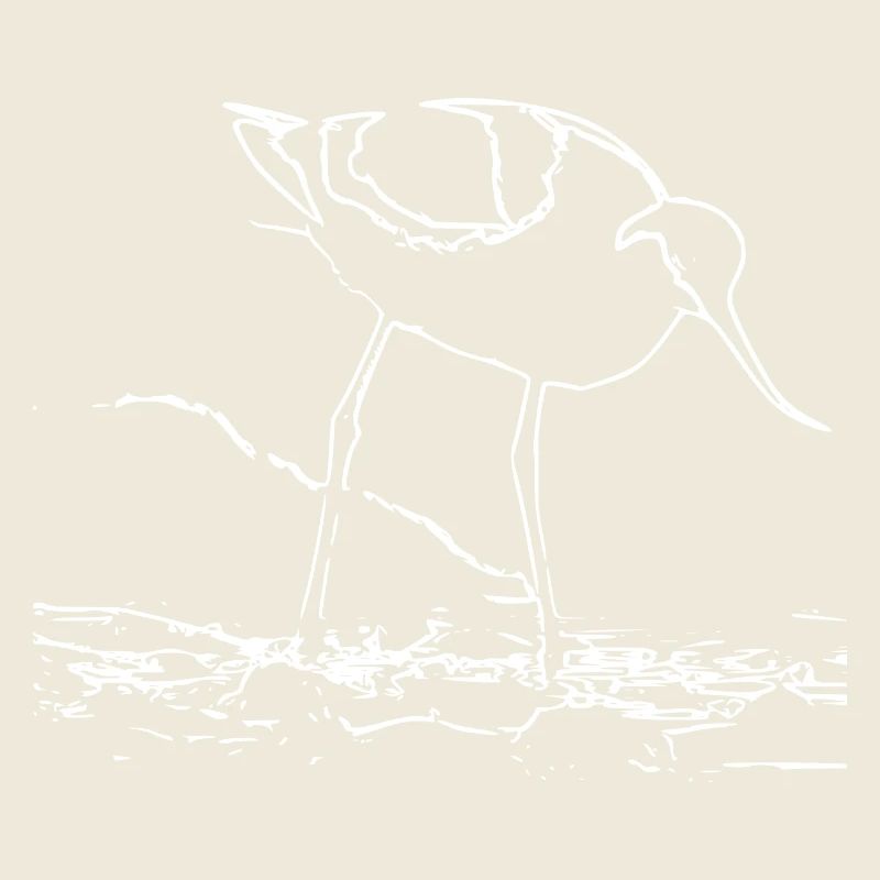 Avocets