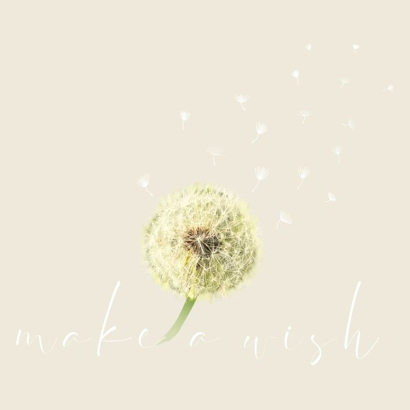 make a wish Pusteblume