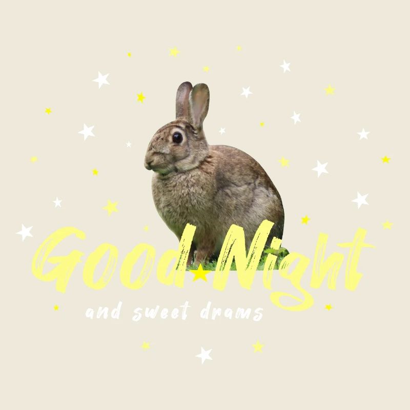 Good Night Hare Rabbit